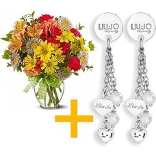 Offer Liu Jo Earrings (Premium)